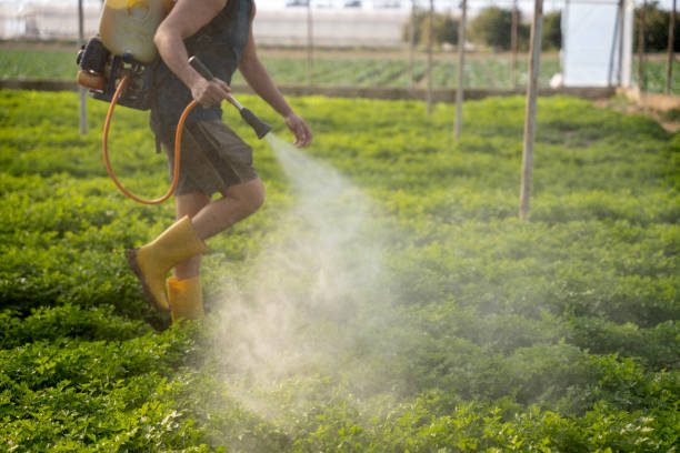 Best Best Pest Control Companies  in Forest View, IL