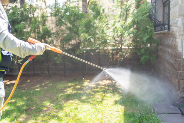 Best Affordable Pest Control Services  in Forest View, IL