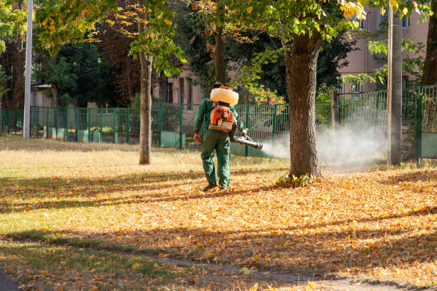 Best Pest Prevention Services  in Forest View, IL