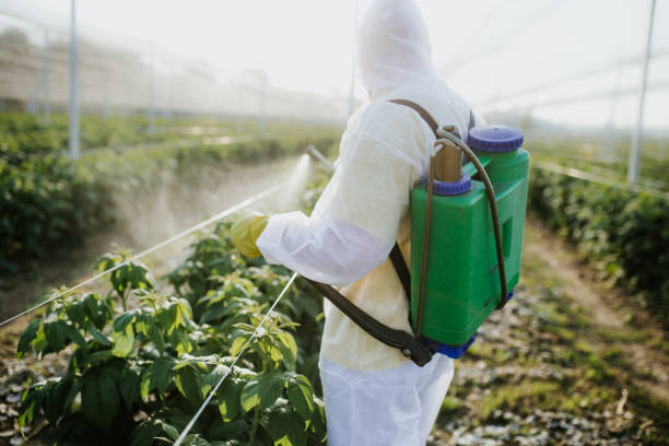 Best Mosquito Control Services  in Forest View, IL